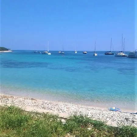 Maslina *