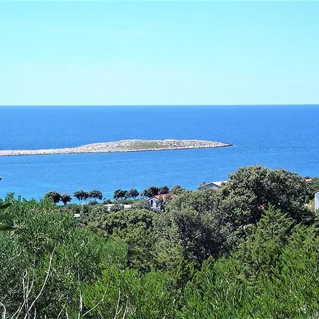 Maslina
